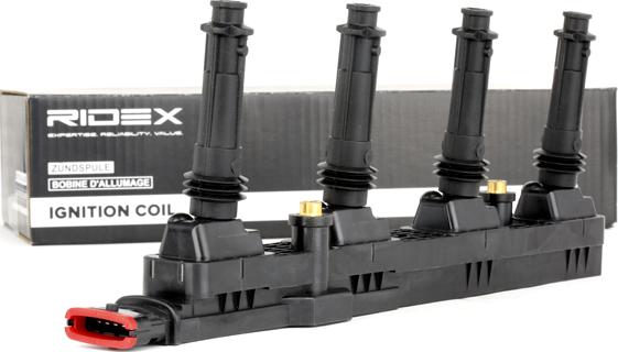 RIDEX 689C0248 - Bobine d'allumage droxauto.com