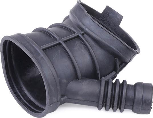 RIDEX 1591I0002 - Tuyau d'aspiration, alimentation d'air droxauto.com