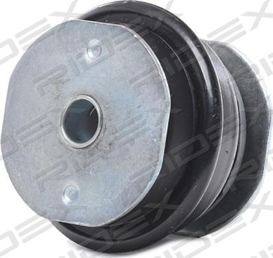 RIDEX 1080M0016 - Suspension, corps de l'essieu droxauto.com