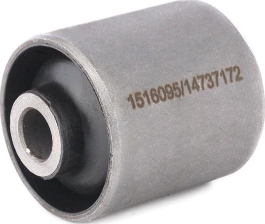 RIDEX 1080M0017 - Suspension, corps de l'essieu droxauto.com