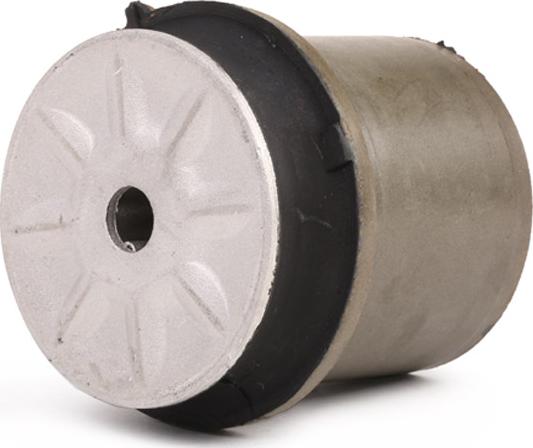 RIDEX 1080M0136 - Suspension, corps de l'essieu droxauto.com