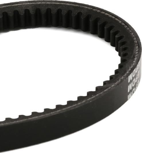 RIDEX 10C0037 - Courroie trapézoïdale droxauto.com