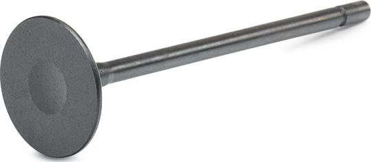 RIDEX 1269I0003 - Soupape d'admission droxauto.com