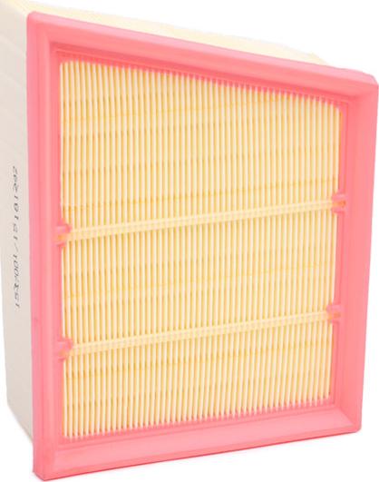 RIDEX 8A0918 - Filtre à air droxauto.com