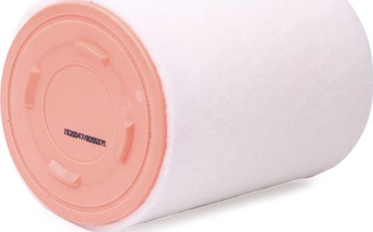 RIDEX 8A0340 - Filtre à air droxauto.com