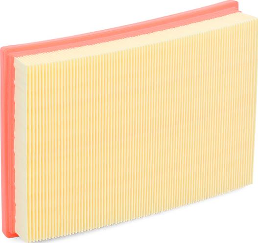 RIDEX 8A0376 - Filtre à air droxauto.com