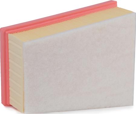 RIDEX 8A0251 - Filtre à air droxauto.com