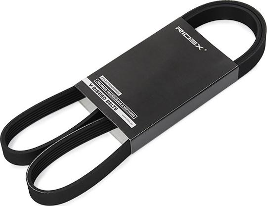 RIDEX 305P0556 - Courroie trapézoïdale à nervures droxauto.com