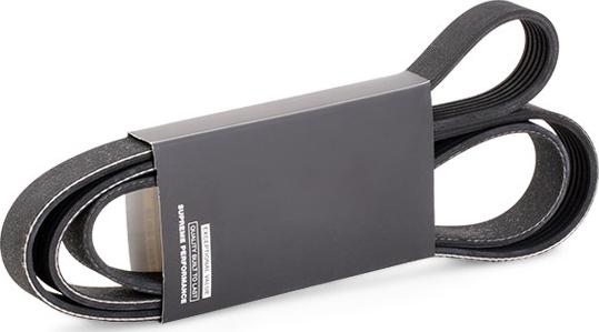 RIDEX 305P0508 - Courroie trapézoïdale à nervures droxauto.com