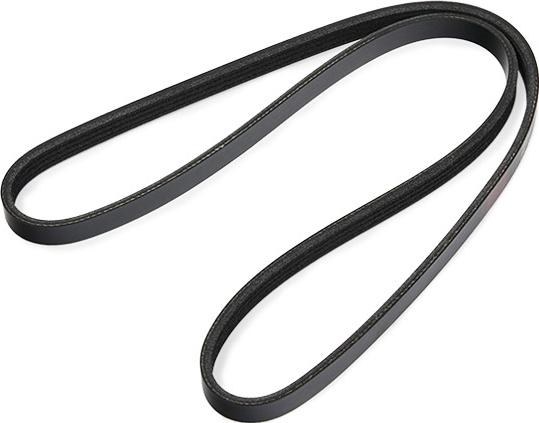 RIDEX 305P0606 - Courroie trapézoïdale à nervures droxauto.com