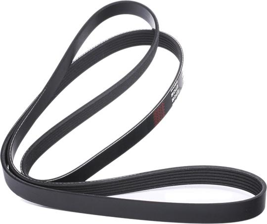 RIDEX 305P0083 - Courroie trapézoïdale à nervures droxauto.com