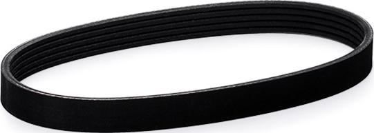 RIDEX 305P0030 - Courroie trapézoïdale à nervures droxauto.com