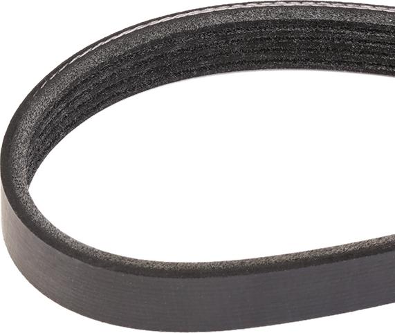 RIDEX 305P0176 - Courroie trapézoïdale à nervures droxauto.com