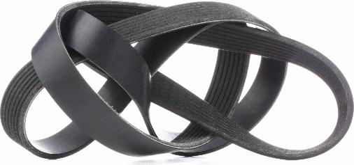 RIDEX 305P0344 - Courroie trapézoïdale à nervures droxauto.com