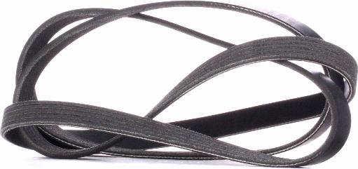 RIDEX 305P0353 - Courroie trapézoïdale à nervures droxauto.com