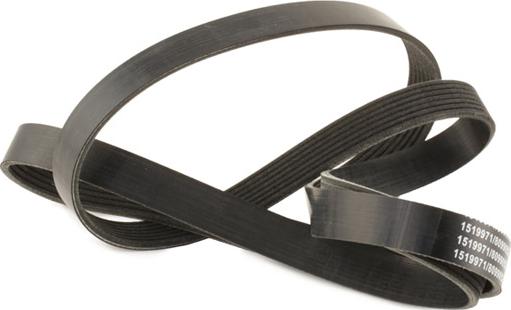 RIDEX 305P0362 - Courroie trapézoïdale à nervures droxauto.com