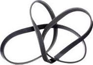 RIDEX 305P0326 - Courroie trapézoïdale à nervures droxauto.com