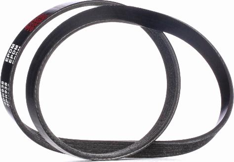 RIDEX 305P0376 - Courroie trapézoïdale à nervures droxauto.com