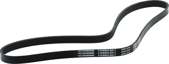 RIDEX 305P0224 - Courroie trapézoïdale à nervures droxauto.com