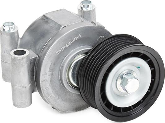 RIDEX 310T0118 - Poulie renvoi / transmission, courroie trapézoïdale à nervures droxauto.com