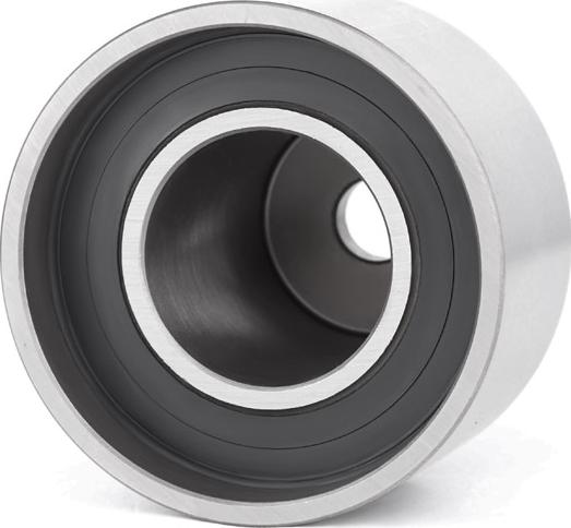 RIDEX 313D0081 - Poulie renvoi / transmission, courroie de distribution droxauto.com