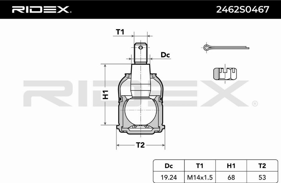RIDEX 2462S0467 - Rotule de suspension droxauto.com