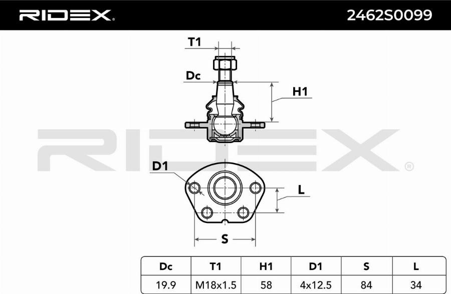 RIDEX 2462S0099 - Rotule de suspension droxauto.com
