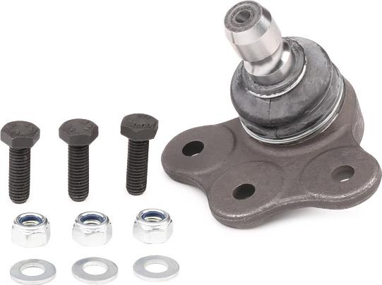 RIDEX 2462S0007 - Rotule de suspension droxauto.com