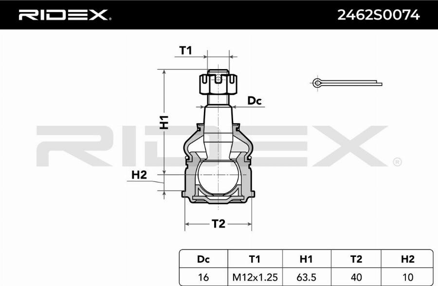 RIDEX 2462S0074 - Rotule de suspension droxauto.com