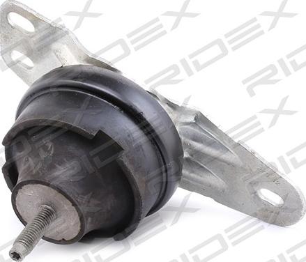 RIDEX 247E0494 - Support moteur droxauto.com