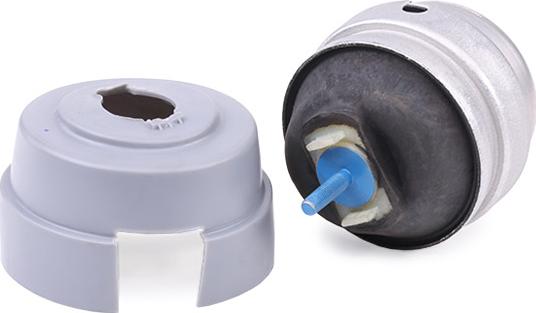 RIDEX 247E0588 - Support moteur droxauto.com