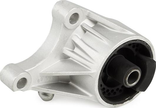 RIDEX 247E0050 - Support moteur droxauto.com