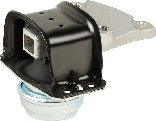 RIDEX 247E0195 - Support moteur droxauto.com