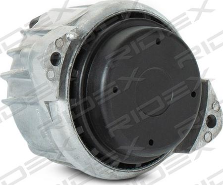 RIDEX 247E0168 - Support moteur droxauto.com