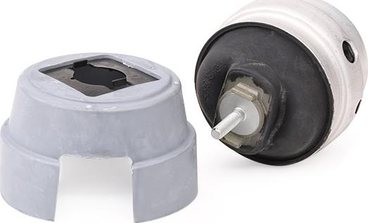 RIDEX 247E0263 - Support moteur droxauto.com