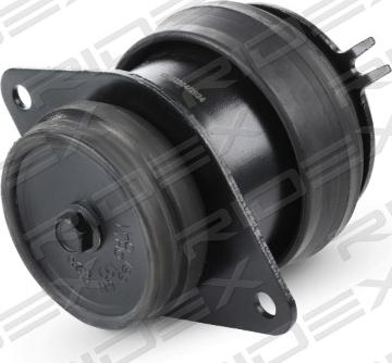 RIDEX 247E0201 - Support moteur droxauto.com