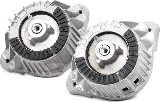 RIDEX 247E0796 - Support moteur droxauto.com