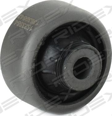 RIDEX 251T0098 - Suspension, bras de liaison droxauto.com