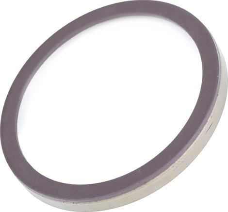 RIDEX 2254S0032 - Anneau de palpeur, ABS droxauto.com