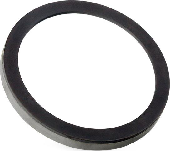 RIDEX 2254S0027 - Anneau de palpeur, ABS droxauto.com