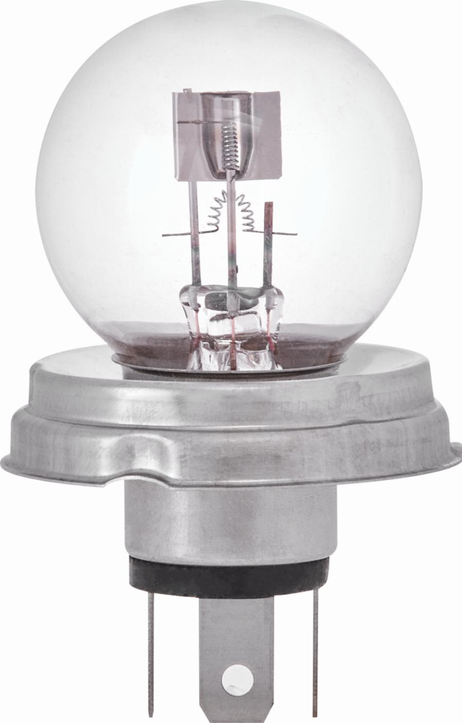 Ring R423 - Ampoule, projecteur principal droxauto.com