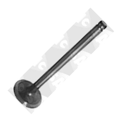 Sasic 4000902 - Soupape d'admission droxauto.com