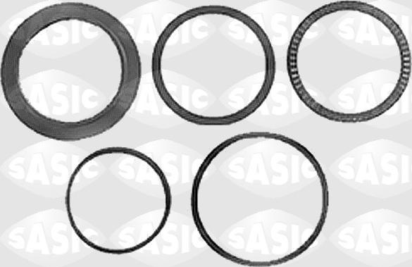 Sasic 1005047 - Kit de réparation, bride de ressort-châssis droxauto.com
