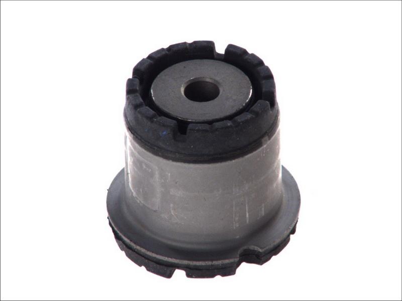 Sasic 1315985 - Suspension, corps de l'essieu droxauto.com