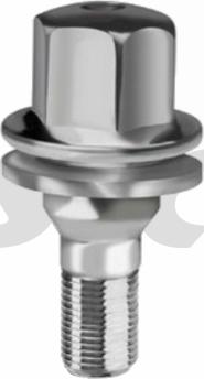 SCCFahrzeugtechnik V1225FL35F - Vis de roue droxauto.com