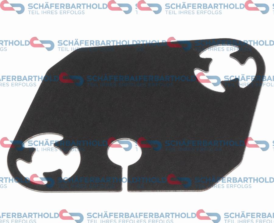 Schaeferbarthold 313 16 113 03 22 - Joint d'étanchéité, tendeur de chaîne de distribution droxauto.com