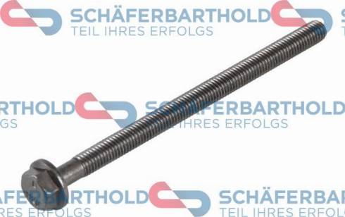 Schferbarthold 911 06 118 01 11 - Vis de culasse droxauto.com