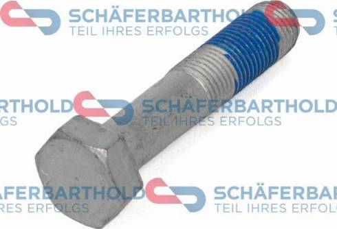 Schferbarthold 913 06 271 01 11 - Vis de poulie droxauto.com