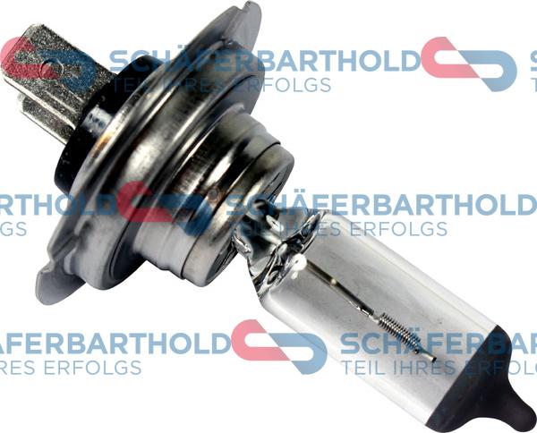 Schferbarthold 443 16 006 01 11 - Ampoule, projecteur longue portée droxauto.com