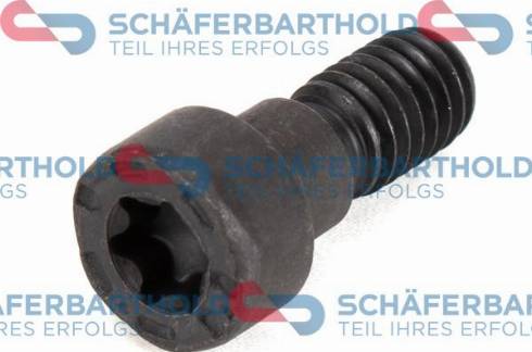 Schferbarthold 100 02 305 01 11 - Vis, roue dentée-arbre à came droxauto.com